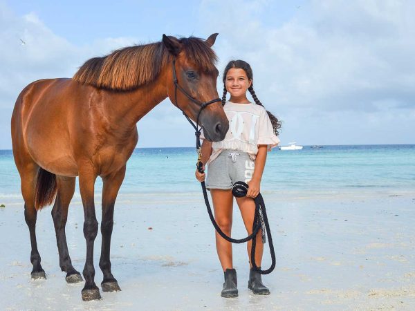 Horses-6